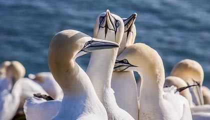 乐鱼体育app官网入口-尤文图斯引援取得成功，中场实力显著增强