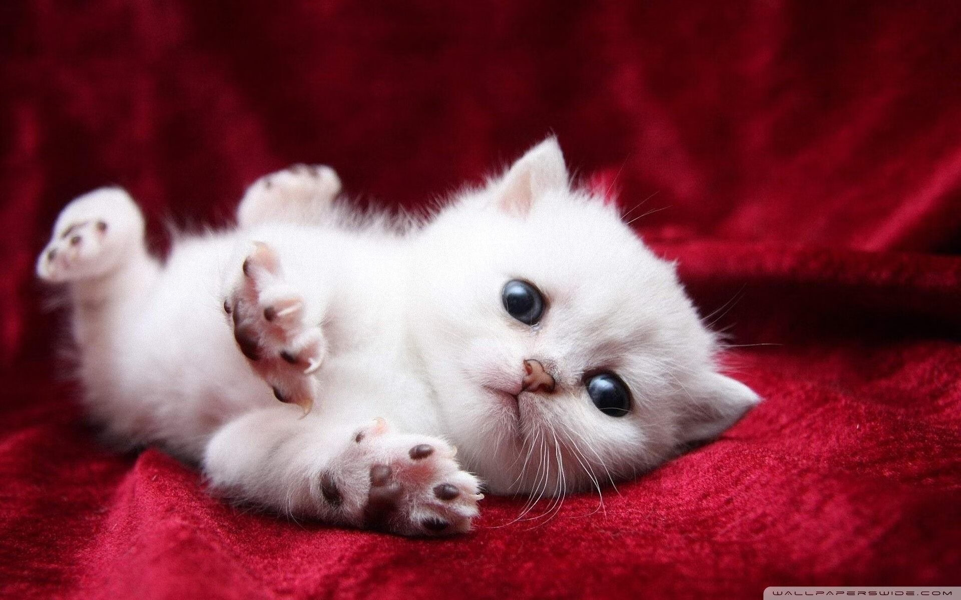 乐鱼体育地址-运动装备技术革新趋势，运动装备技术革新趋势有哪些