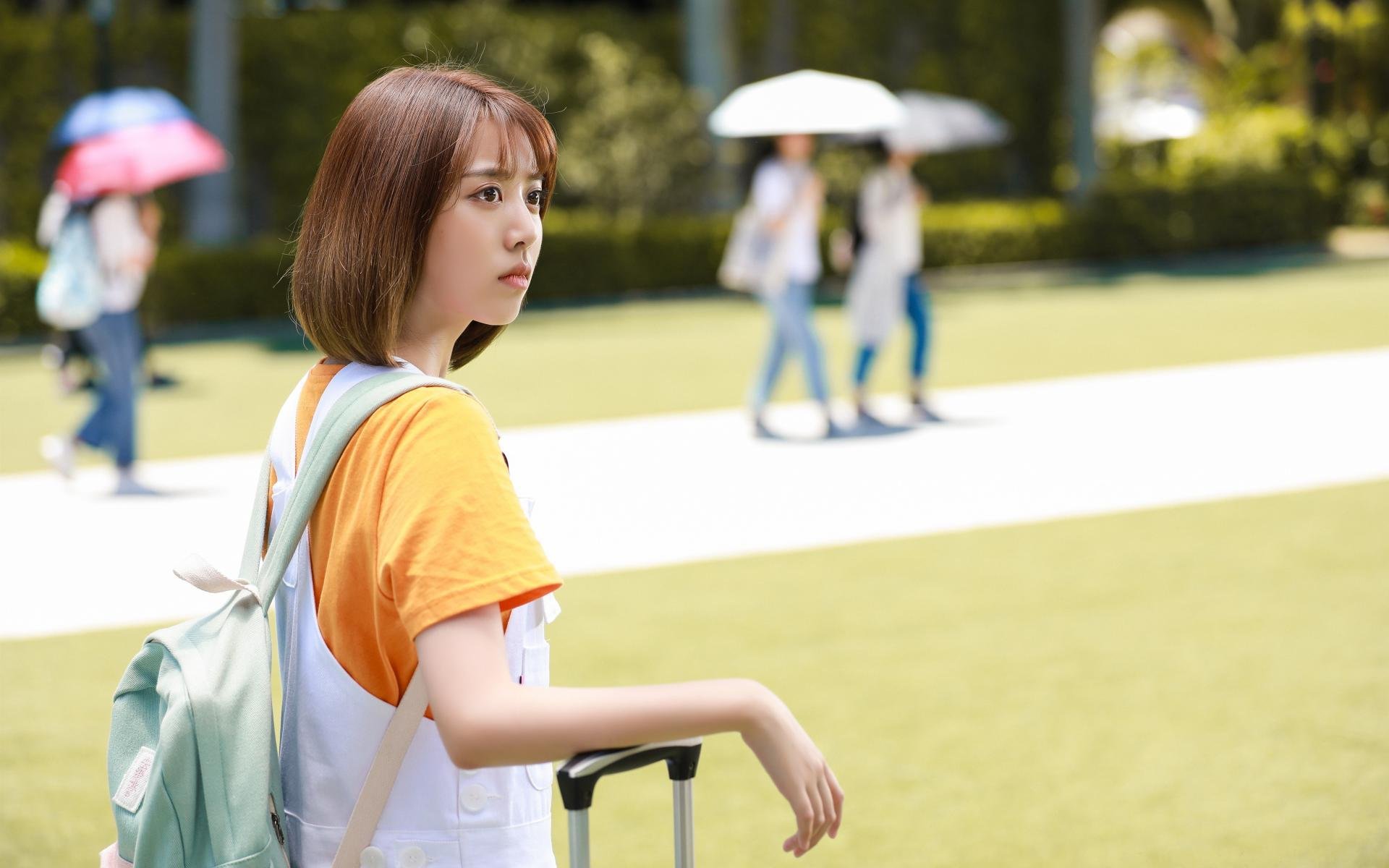 世界围棋赛棋风对比引发多国媒体关注,世界围棋赛事一览