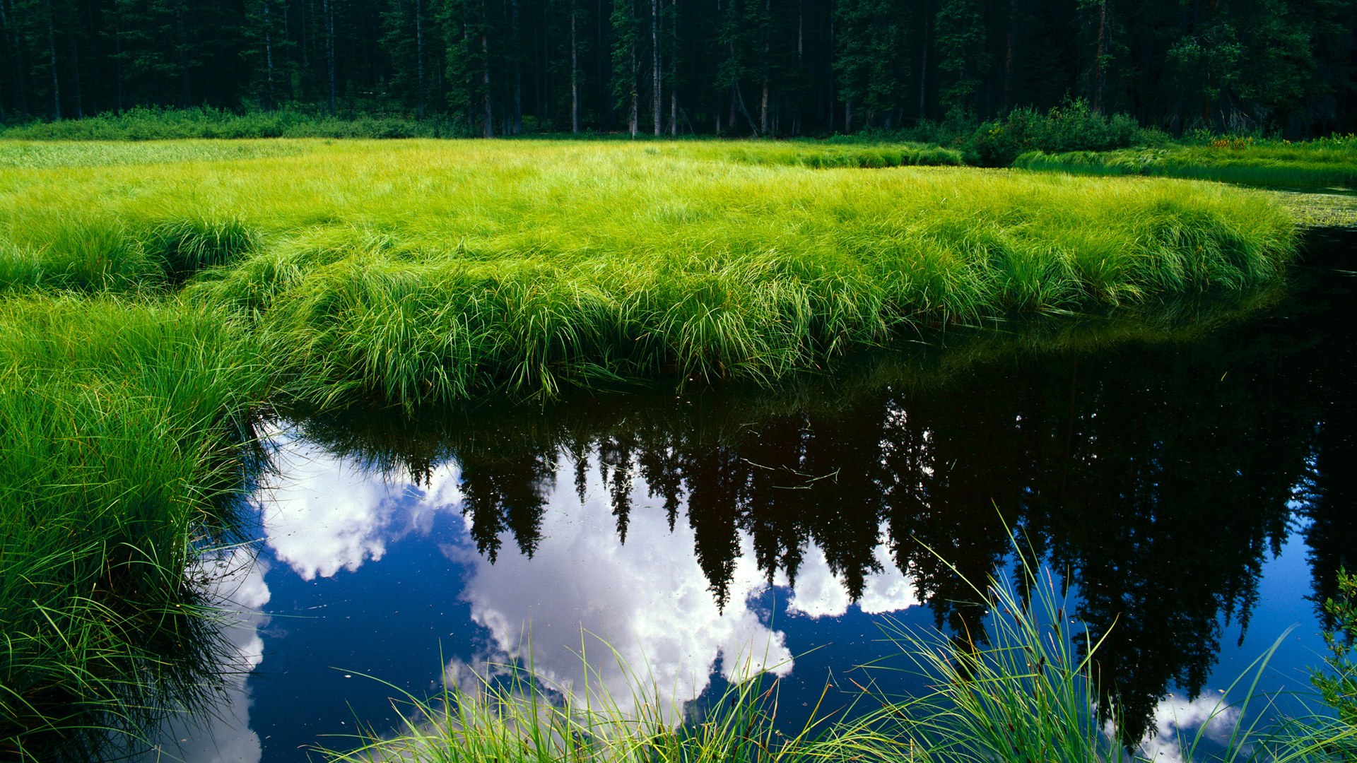 中国女篮主打快速反击 战术布局日益清晰,中国女篮打得怎么样