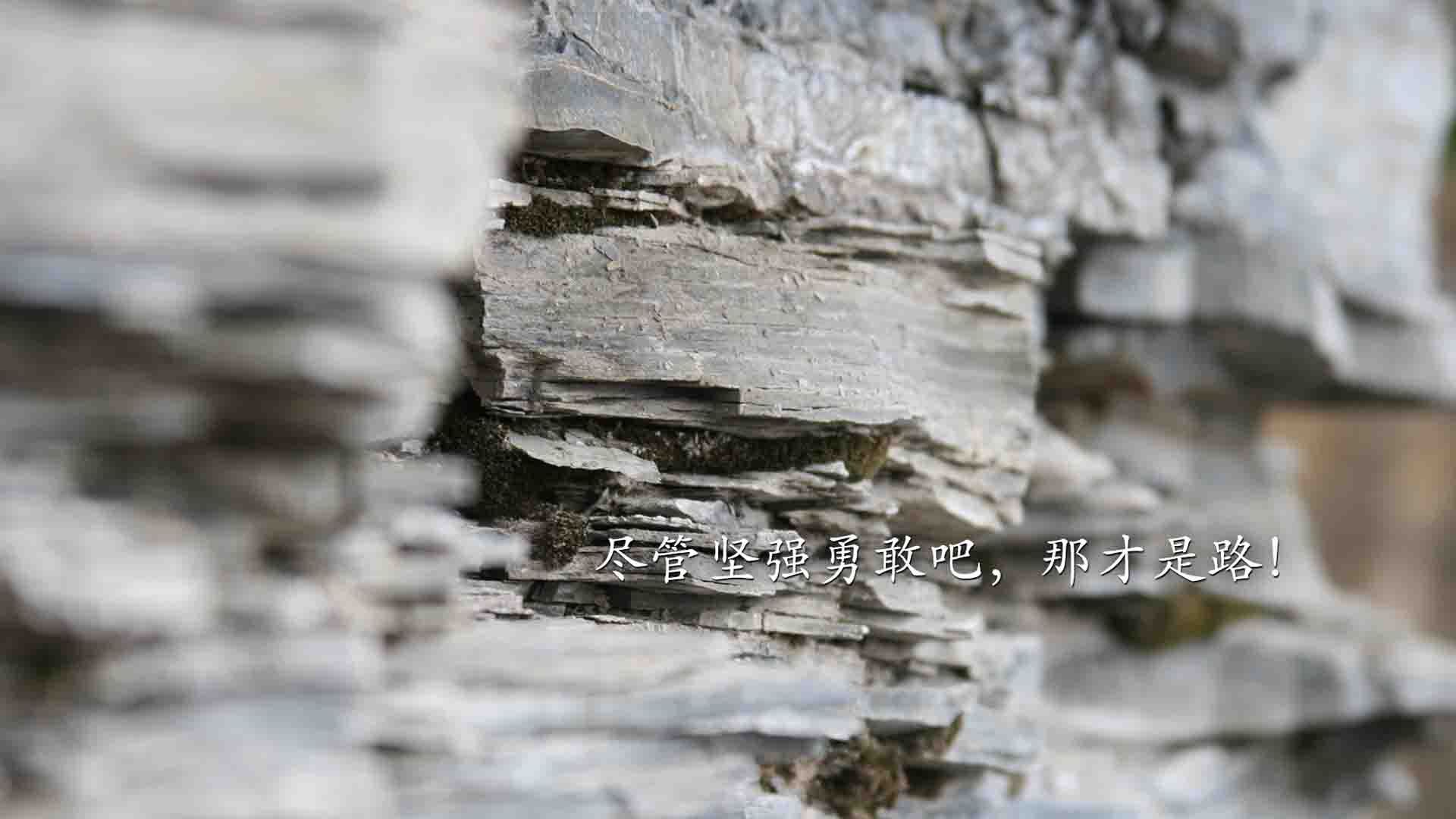 中国男篮多点开花 战术体系初显成效,中国男篮多打少