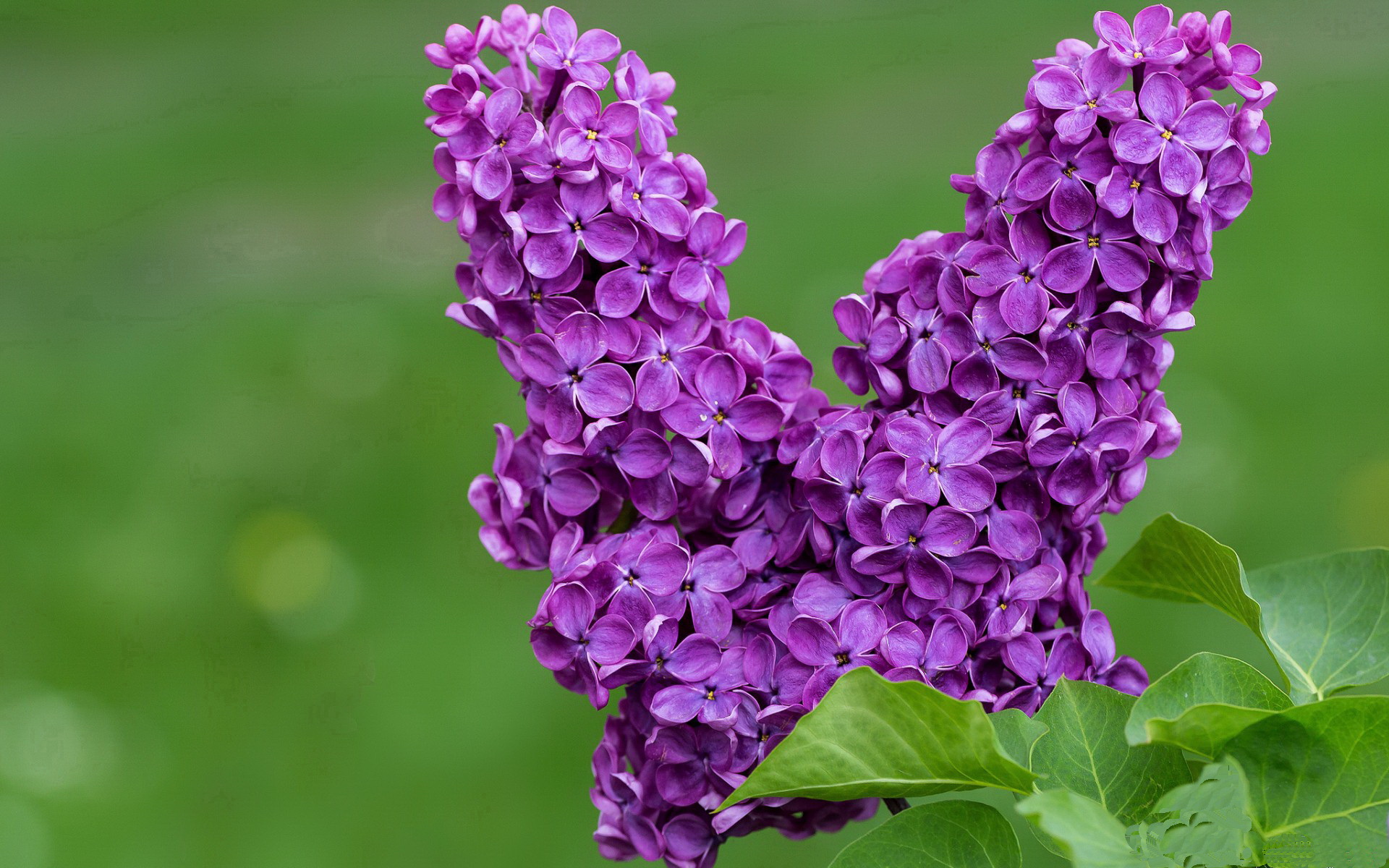 乐鱼体育直播在线-中国男篮突破防线得分效率明显提升，中国男篮得分榜
