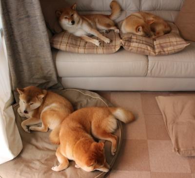 国际热身赛U23国足晋级 技术表现大放异彩,6月2日国足热身