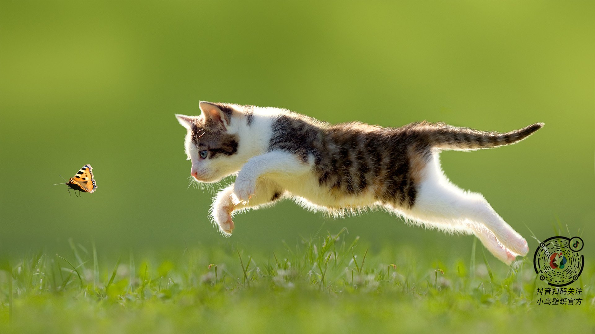 外教与本土教练合作难题解析,外教团队对训练的要求很高