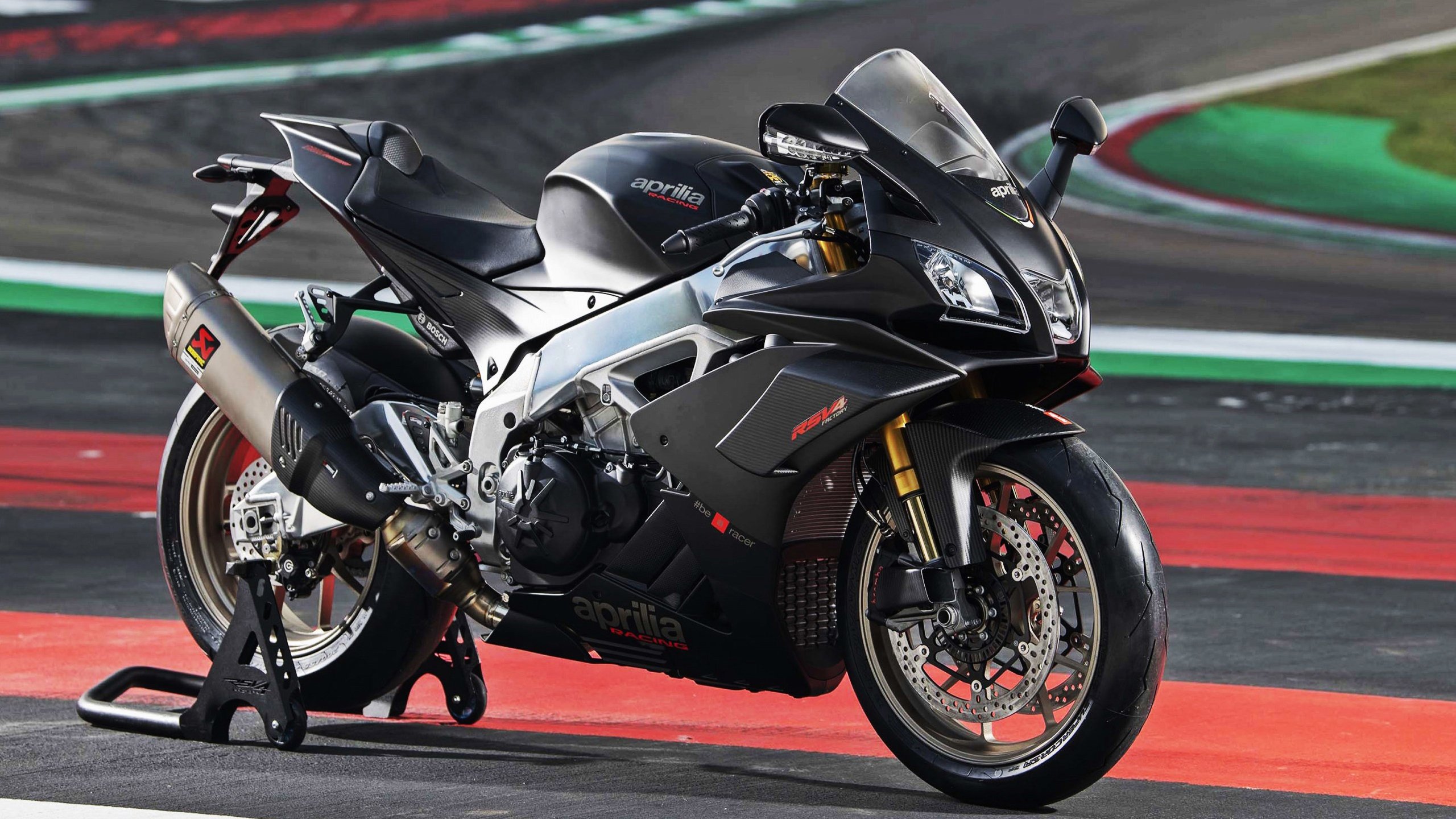 新加坡队赛制深度解析:如何在复杂赛制中保持团队凝聚力,新加坡队员