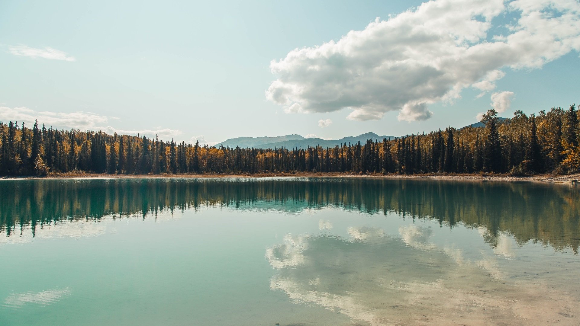 滑行段速度数据对比赛影响,推测滑行距离与滑行时间的关系