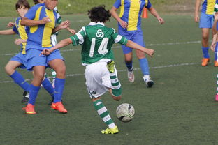 乐鱼体育在线入口-球员是否通过预判跑位优化传球角度与强度，球员跑动距离怎么测的