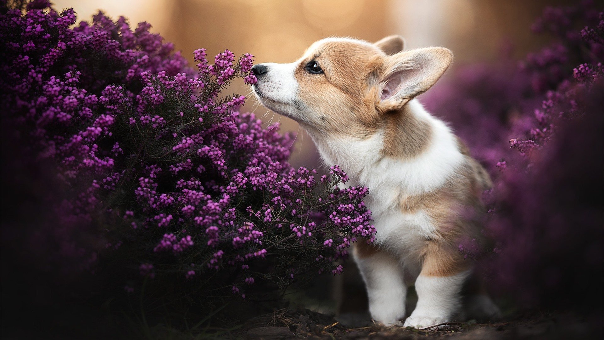 乐鱼体育app官方入口-青少年体育社团创新实践成果获奖作品展出，学生体育社团活动主题