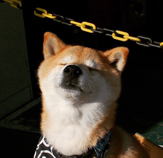 乐鱼体育app-世界杯终极逆转：英雄完成逆袭奇迹！，世界杯瞬间