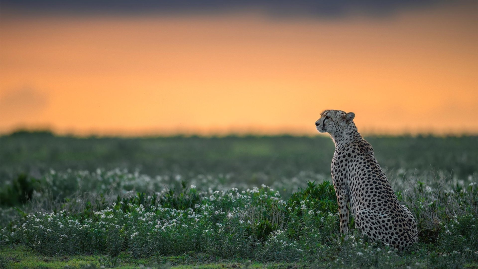 乐鱼体育网页登录-勇士中锋完成高强度训练展示篮下统治力，勇士 中锋