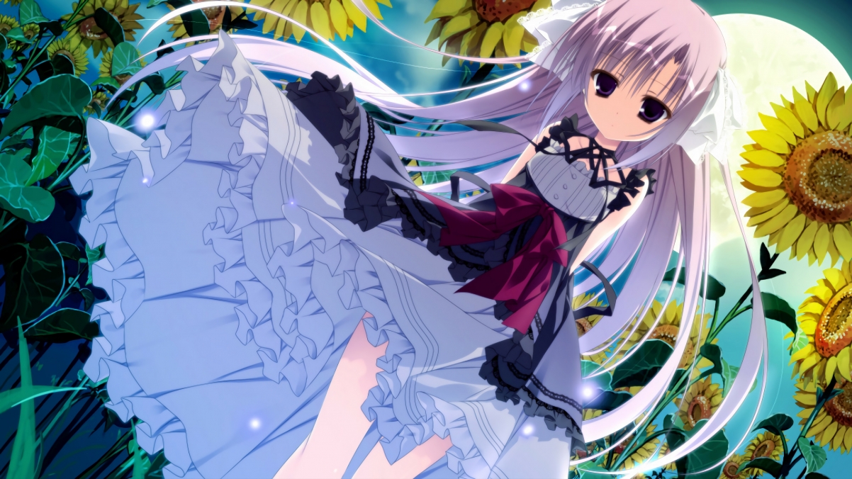 哈兰德闪耀欧冠赛场,再次打破进球纪录