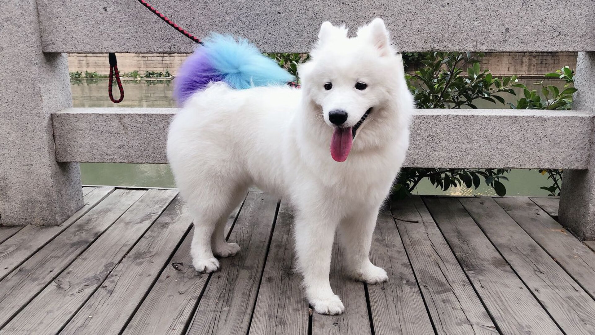 乐鱼体育官网优惠-奇才宣布新援加入球队提升整体阵容深度，奇才队新赛季首发