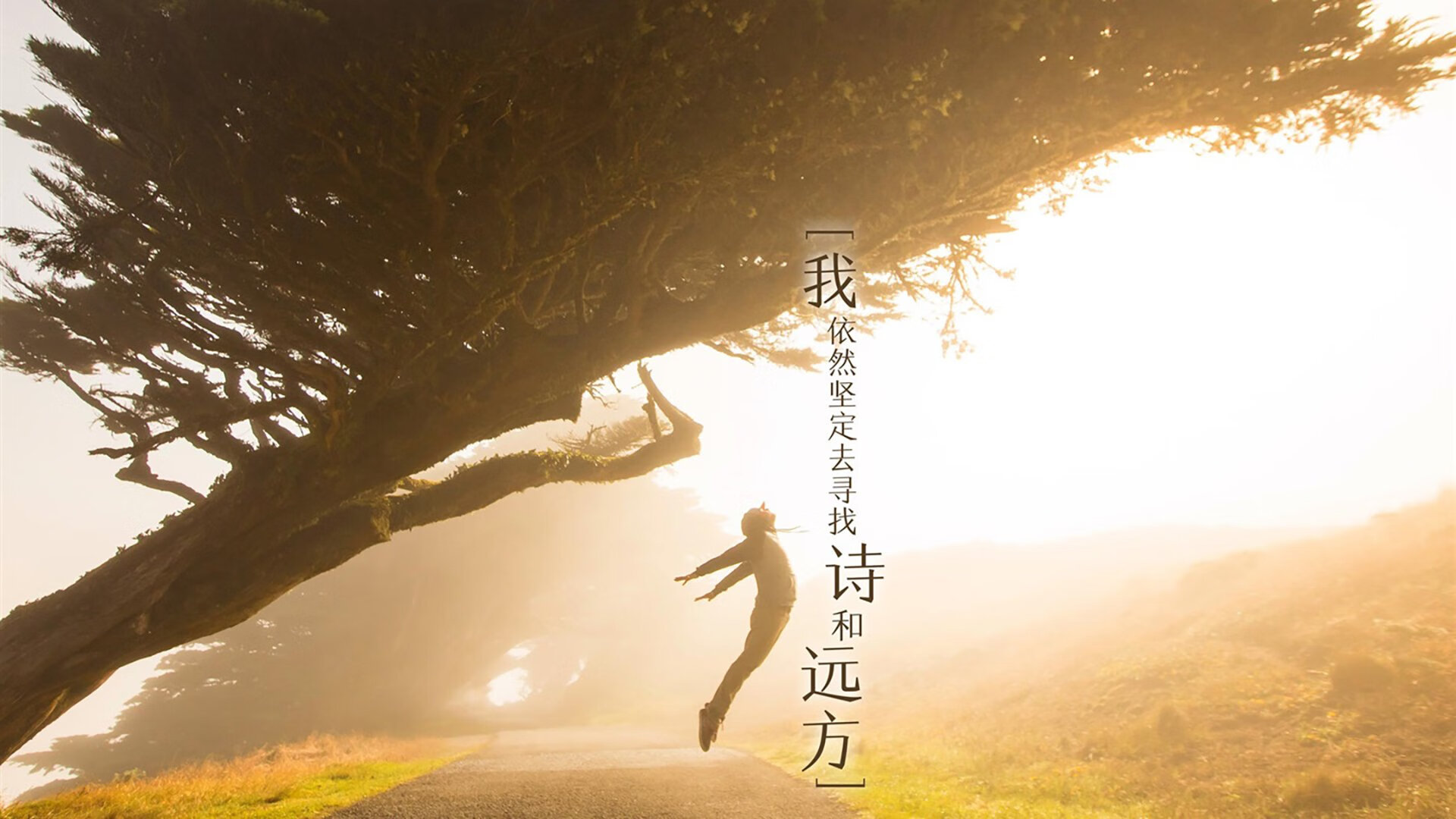 乐鱼体育在线登陆-希腊男篮在欧洲锦标赛中巩固冠军地位，荣耀再创高峰，希腊男篮落选赛名单