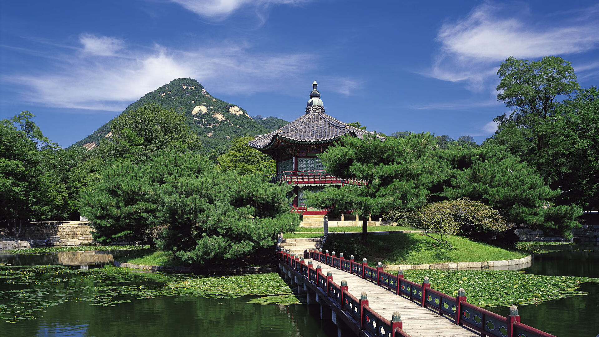 乐鱼体育平台登录-弗朗索瓦·霍尔茨豪伊泽：南非队进攻系统的“心脏”，推动车轮前行