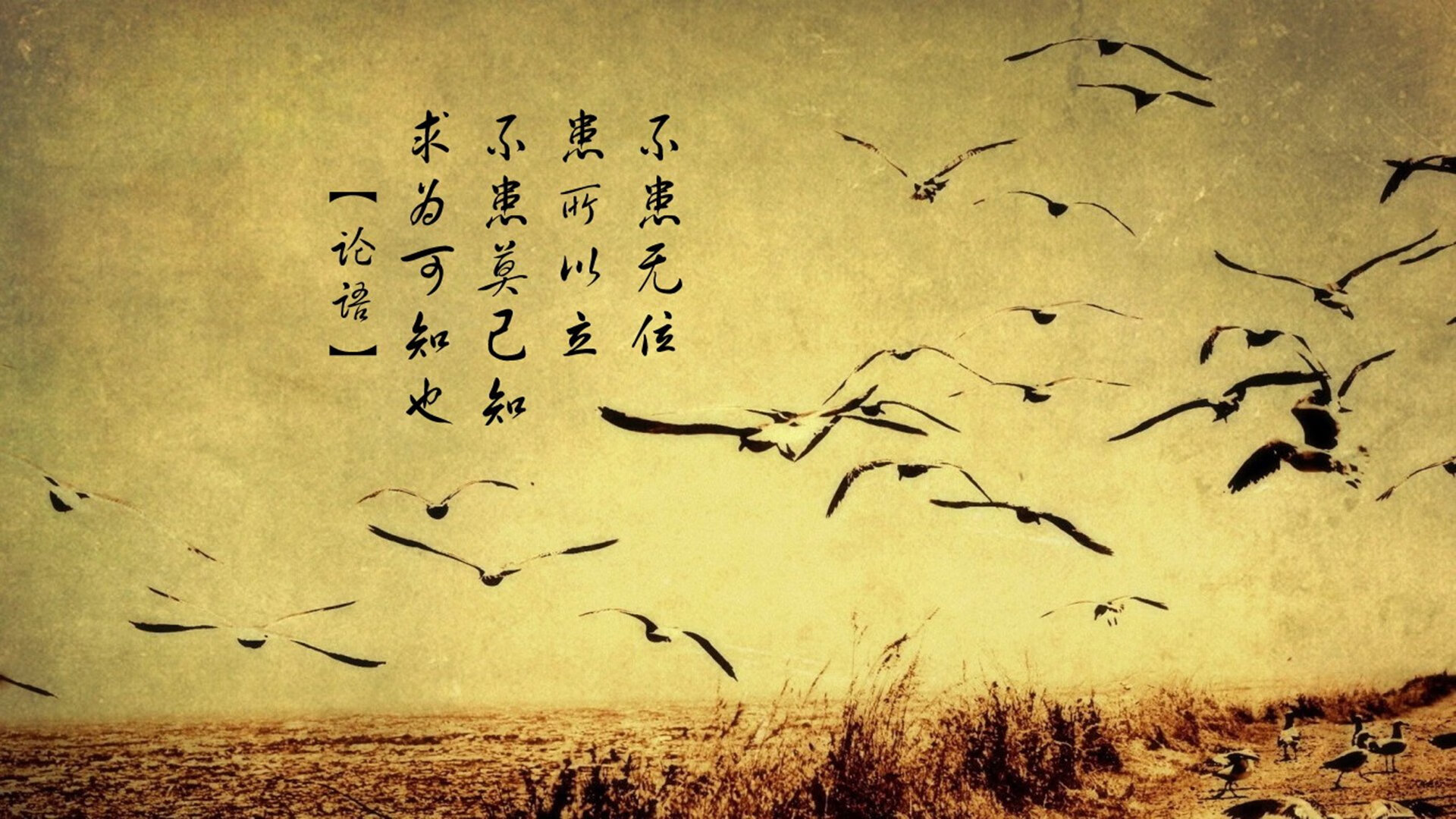 弗朗索瓦·霍尔茨豪伊泽：南非队进攻系统的“心脏”，推动车轮前行